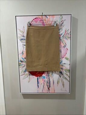 Ann Taylor Tan A-Line Skirt